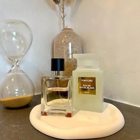 Modern Elegance In Historical Center Trier