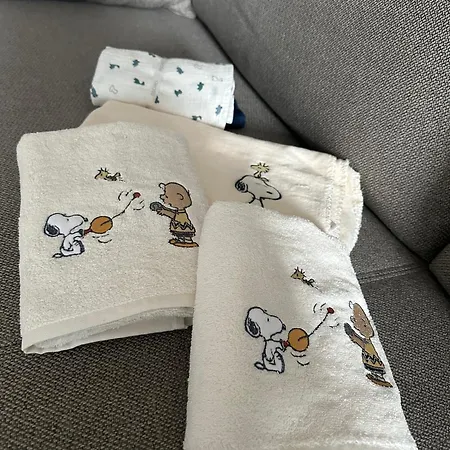 Modern Elegance In Historical Center Trier