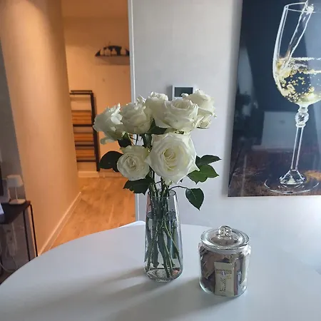 Modern Elegance In Historical Center Appartement Trier