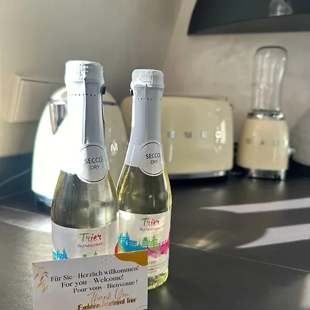 Apartamento Modern Elegance In Historical Center Trier