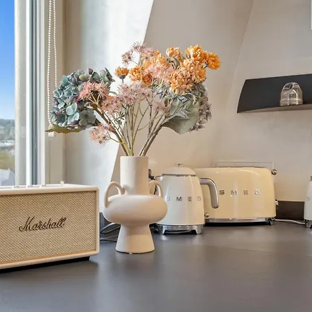 Modern Elegance In Historical Center Trier