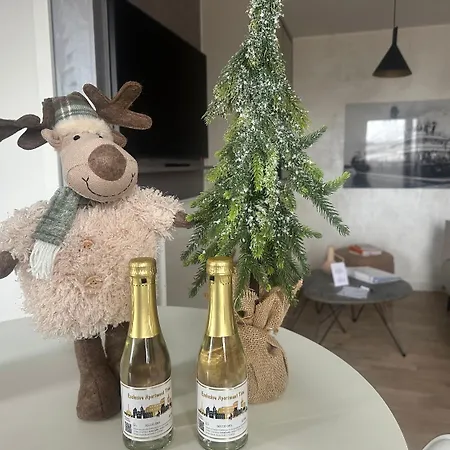 Apartman Modern Elegance In Historical Center Trier