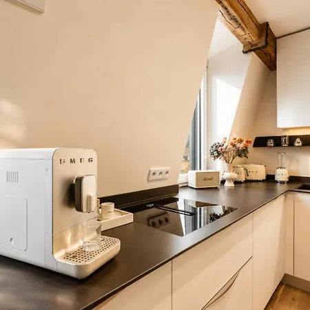 Modern Elegance In Historical Center Trier