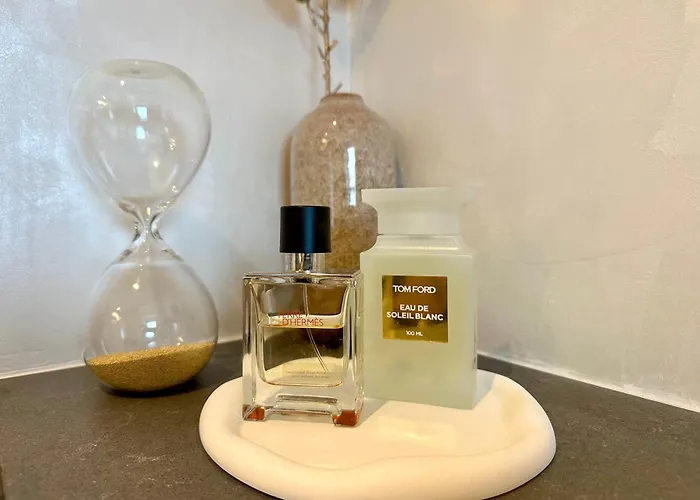 Modern Elegance In Historical Center Trier