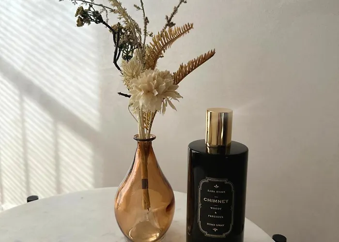 Modern Elegance In Historical Center Lejlighed Trier